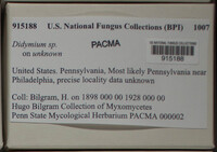 Image Associated With the Occurence